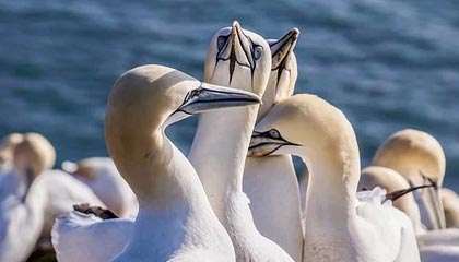 外汇交易一般有哪些策略？