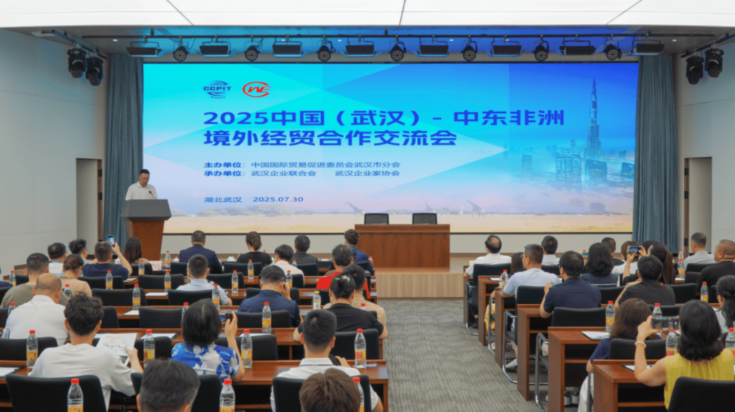2025中国（武汉）——中东非洲境外经贸合作交流会在武汉举行