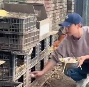 60岁张曼玉分享法国农村生活日常：养鸡种地，钻进鸡窝拿鸡蛋