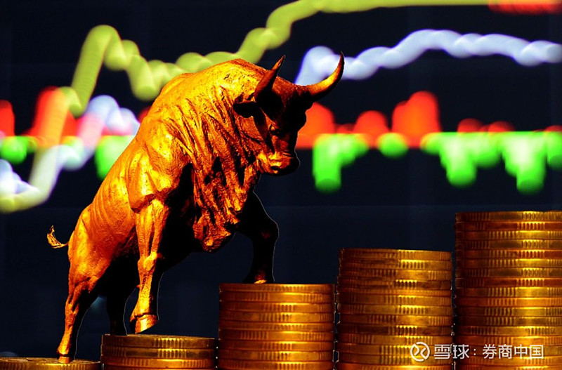 中信证券雪球(中信中证500雪球)