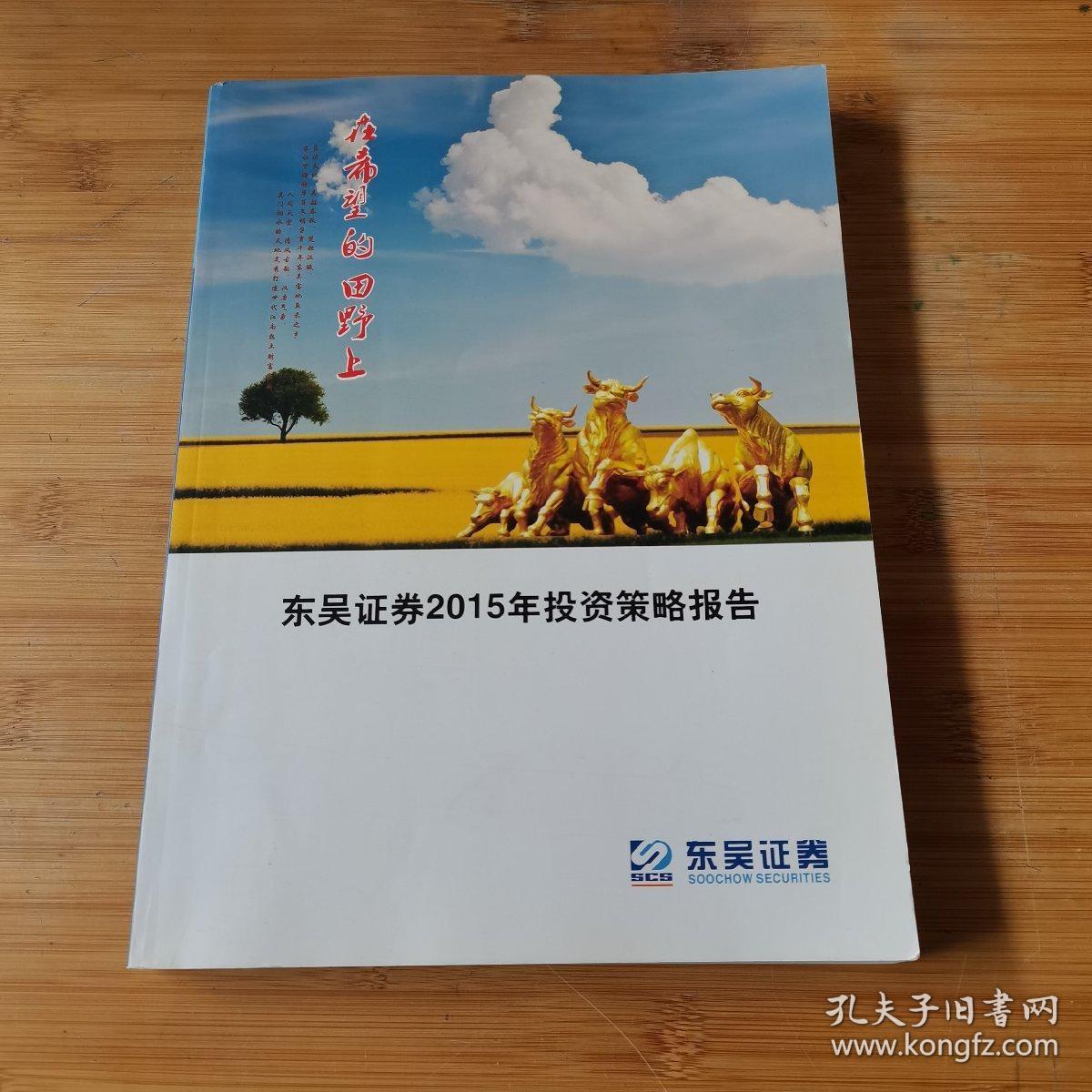 证券策略报告(证券策略报告怎么写)