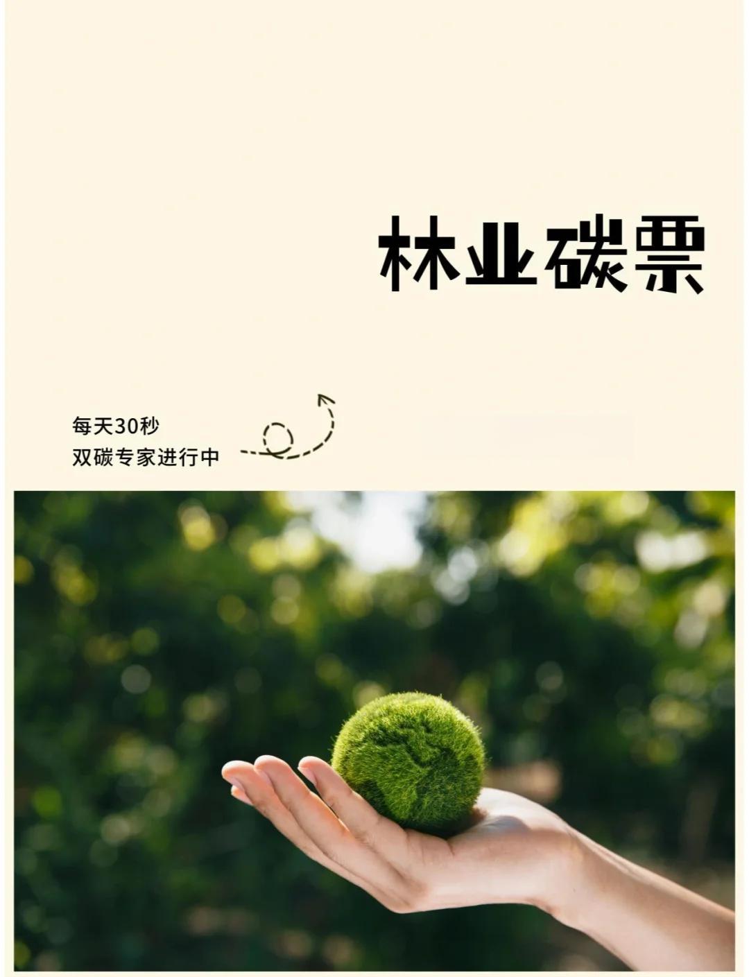 碳证券(碳证书哪个含金量高) 碳证券(碳证书哪个含金量高)
