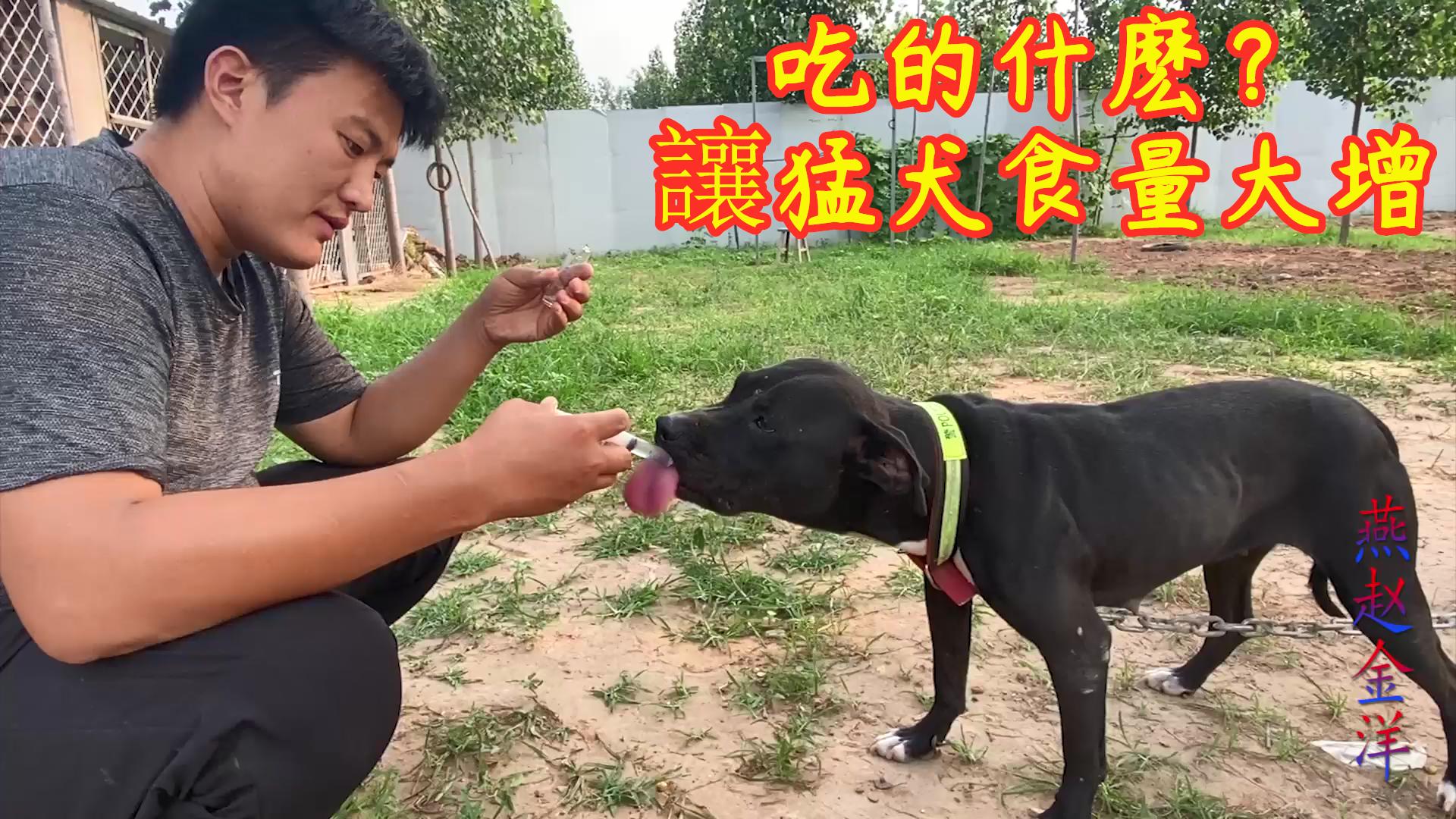 金洋证券(金洋2注册平台)